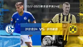 沙尔克04vs汉诺威96