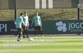 欧博官网入口-2006年世界杯意大利vs澳大利亚