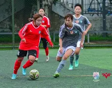 欧博官网下载-新加坡打球